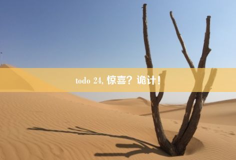 todo 24, 惊喜？诡计！