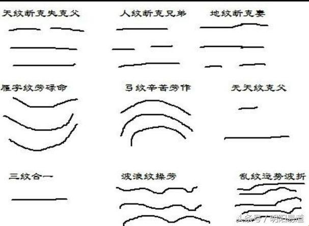 女人额头横纹：面部地图上的幽默解读