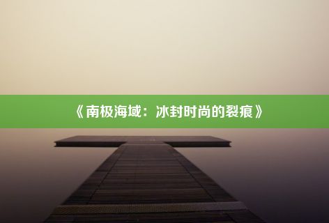 《南极海域：冰封时尚的裂痕》