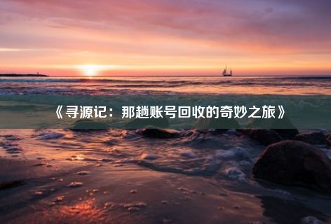 《寻源记：那趟账号回收的奇妙之旅》