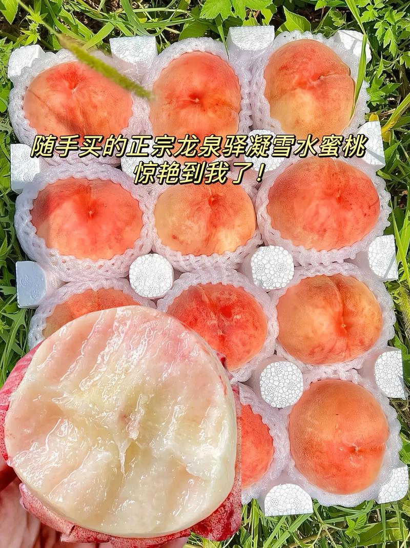 《粉墨登场，水蜜桃乱舞：全球狂潮的奥秘》