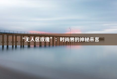 “无人区玫瑰”：时尚界的神秘来客