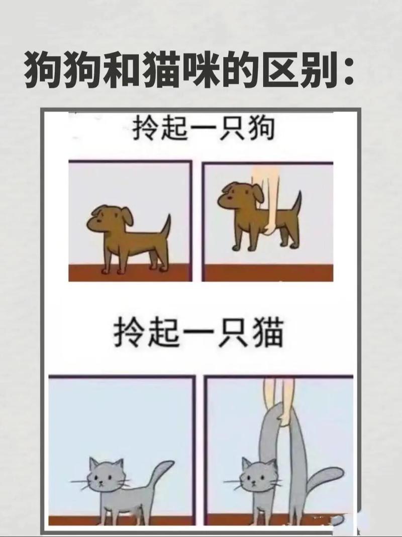 《猫狗大战，还是世纪和解？一场游戏行业的跨界争论》