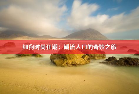 细狗时尚狂潮：潮流入口的奇妙之旅