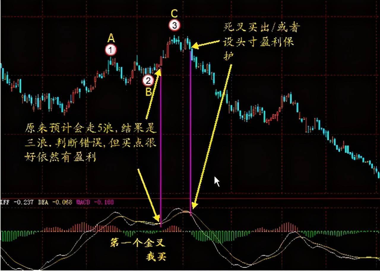 “MACD”迷局：游戏里的人生，一场引人入胜的荒诞剧