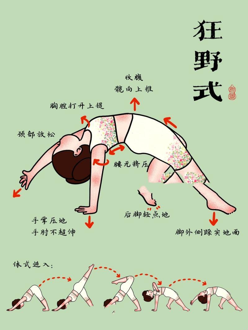 从狂野式到轮式的飞跃：一场引爆全民的炫技狂欢