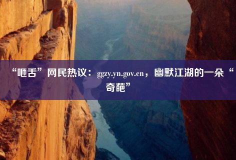 “咂舌”网民热议：ggzy.yn.gov.cn，幽默江湖的一朵“奇葩”