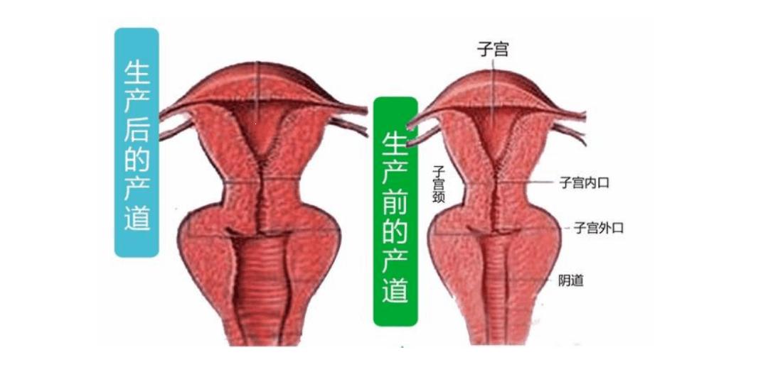 “下面”风吹草动，全球聚焦，自嘲风尚引领新潮流