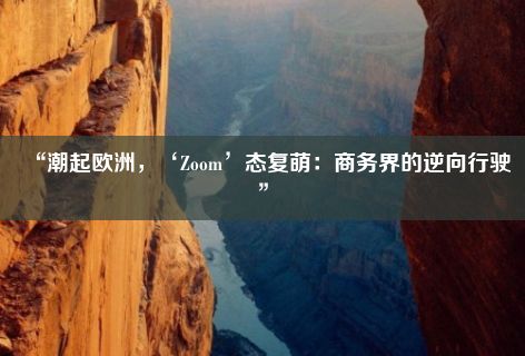 “潮起欧洲，‘Zoom’态复萌：商务界的逆向行驶”