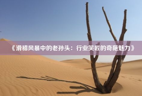 《滑稽风暴中的老孙头：行业笑匠的奇葩魅力》