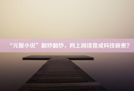 “元媛小说”翻炒翻炒，网上阅读竟成科技新贵？