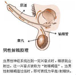 “射箭”风波：网上热议背后的讽刺与反思