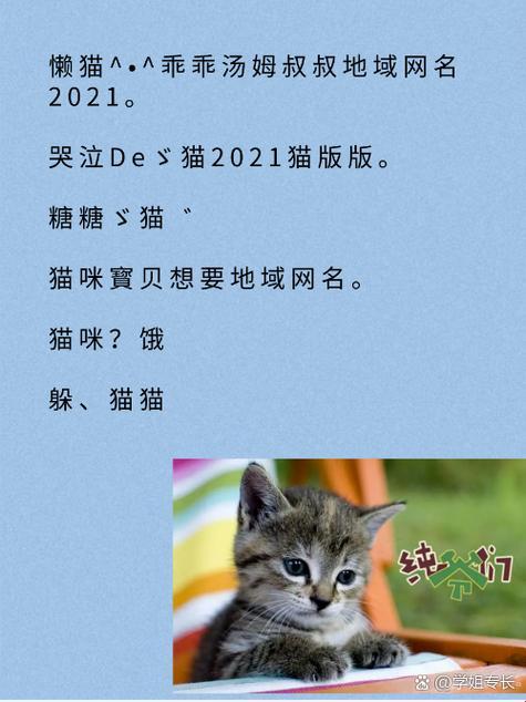 猫咪网新潮网名大揭秘：换个名字换个feel