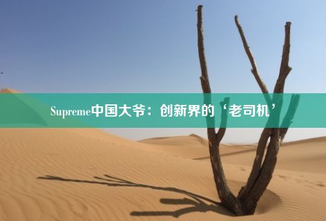 Supreme中国大爷：创新界的‘老司机’