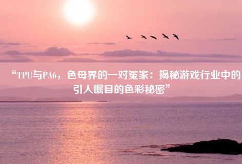 “TPU与PA6，色母界的一对冤家：揭秘游戏行业中的引人瞩目的色彩秘密”